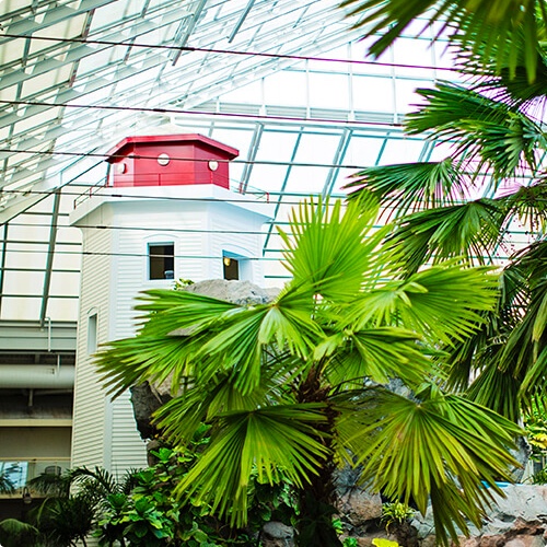 Glass Ceiling Atrium